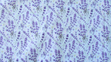 Print Diaper Covers Large-Fruit of the Womb Diapers