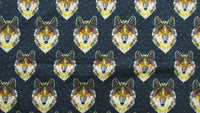 Size 1 Maxaloones: Boy/GN Prints-Fruit of the Womb Diapers
