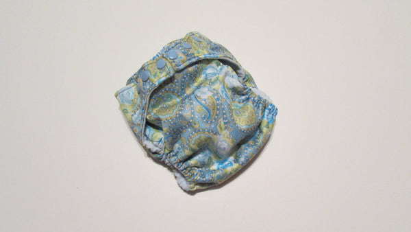 Pocket Palz Pocket Diaper in Paisley Roses print-Fruit of the Womb Diapers